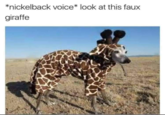 *nickelback voice* look at this faux giraffe