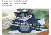 How do I pay taxes? How do I get a job? Schools: Well, mitochondria is the powerhouse of the cell