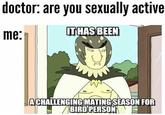 doctor: are you sexually active me: ITHAS BEEN ACHALLENGING MATING SEASON FOR BIRD PERSON