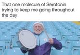 That one molecule of Serotonin trying to keep me going throughout the day