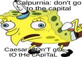 Calpurnia: don't go tto the capital Caesar dOn'T g tO tHe CApiTal