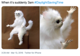 When it's suddenly 3am #DaylightSavingTime 3:29 AM · Mar 13, 2016 · Twitter for iPhone