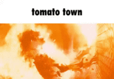 tomato town