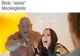Birds: *exists* Mockingbirds: