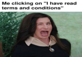 Me clicking on "I have read terms and conditions"