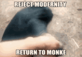 Long Live Together REJECT MODERNITY RETURN TO MONKE
