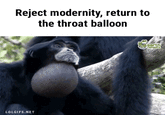 Throat Balloon For Prez Reject modernity, return to the throat balloon LOLGIFS.NET