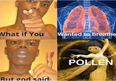 What if You Wanted to breathe POLLEN But god said