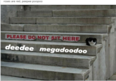 roses are red, peepee poopoo PLEASE DO NOT SIT HERE deedee megadoodoo