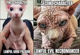 FIRST CHARACTER SECOND CHARACTER LAWFUL GOOD PALADIN LAWFUL EVIL NECROMANCER