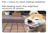 Me: I have to start eating healthier Me feeling even the slightest amount of stress: Download the @memes app