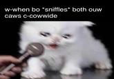 w-when bo *sniffles* both ouw caws c-cowwide