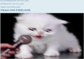 IM A STRAIGHT UP VILLAIN STRAIGHT UP VILLAIN YEAH NO FEELING YEAH NO FEELING