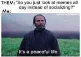 THEM: “So you just look at memes all day instead of socializing?" Me: AMindFullofMEMES It's a peaceful life.
