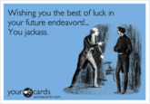 Wishing you the best of luck in your future endeavors!. You jackass. yourcecards someecards.com