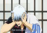 T-Toei Animation's gonna kill us!