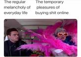 The regular The temporary melancholy of pleasures of everyday life buying s--- online