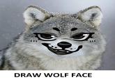 DRAW WOLF FACE Wolf Head Carnivore Wolf Grey Whiskers Terrestrial animal Snout Font