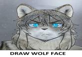 DRAW WOLF FACE Nose Cat Eye Felidae Carnivore Cartoon Small to medium-sized cats Iris Grey Painting Art Whiskers Line Paint Font Window Illustration