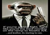 If you're gonna fight, fight like you're the third monkey on the ramp to Noahs Ark. .and brother, its stating to rain.