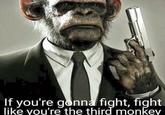 If you're gonna fight, fight like you're the third monkey
