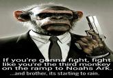 If you're gonna fight, fight like you're the third monkey on the ramp to Noahs Ark. .and brother, its starting to rain.