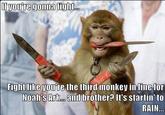 If you're gonna fight. Fight like you're the third monkey in line for Noah's Ark. and brother? It's startin' to RAIN...