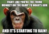 FIGHT LIKE YOU'RE THE THIRD MONKEY ON THE RAMP TO NOAH'S ARK AND IT'S STARTING TO RAIN! imgflip.com