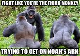 FIGHT LIKE YOU'RE THE THIRD MONKEY KEEP THE PLUG IN THE JUG TRYING TO GET ON NOAH'S ARK