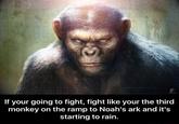 your going to fight, fight like your the third monkey on the ramp to Noah's ark and it's starting to rain. If