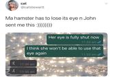 cat @catstewartt Ma hamster has to lose its eye n John sent me this :)))))))) Her eye is fully shut now 11:33 am / I think she won't be able to use that eye again 11:33 am / :( 11:35 am .( 11:35 am