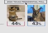 2020 TEXAS PRESIDENTIAL POLL 44% 43% VERSITY