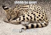shhhh be quiet sogga is sleeping