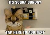 ITS SOGGA SUNDAY TAP HERE TO ADD TEXT