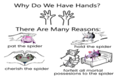 Why Do We Have Hands? There Are Many Reasons: pat the spider hold the spider cherish the spider forfeit all mortal possesions to the spider