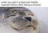 when you get in a bed with freshly washed sheets after taking a shower