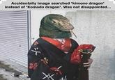 Accidentally image searched 'kimono dragon' instead of 'Komodo dragon'. Was not disappointed...