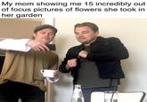 My mom showing me 15 incredibly out of focus pictures of flowers she took in her garden