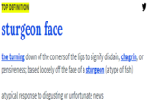 Sturgeon Face Urban Dictionary Definition TOP DEFINITION sturgeon face the turning down of the corners of the lips to signify disdain, chagrin, or pensiveness; based loosely off the face of a sturgeon (a type of fish) a typical response to disgusting or unfortunate news