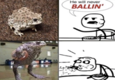 He will never BALLIN' MAC FSLOOS