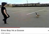 Emo Boy Vs a Goose 25K views