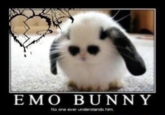 EMO BUNNY No one ever understands him.