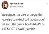 so basically you can just tell them Pigeon Fancier @isabelzawtun We cut open the cake at the gender reveal party and out spill thousands of fire ants. The guests howl. FIRE ANTS ARE MOSTLY MALE, I explain