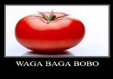 WAGA BAGA BOBO
