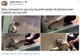 Ashly Perez @itsashlyperez •.. May I present to you my favorite series of photos ever. Caption as you will. 1:47 PM · Feb 17, 2019 · Twitter for iPhone