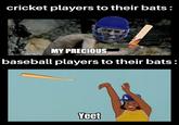 cricket players to their bats: MY PRECIOUS baseball players to their bats: Yeet
