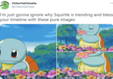 ChikoritaCheezits @ChikoritaCheez I'm just gonna ignore why Squirtle is trending and bless your timeline with these pure images