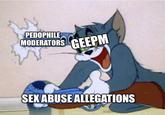 Visualization of the GeePM breakdown

Context:
As someone who watched GeePM's breakdown happen in realtime, I would like to detail what happened to the ex-Vinesauce contributor in the days following him backing the allegations against Vinny (which I will not be commenting on at this time) and how it basically destroyed his streaming career.

In short, backlash against GeePM opened the floodgates for victims of one of child predation by one of his moderators to come forward. In the same statement GeePM defended his choice to back allegations against Vinny, he also admitted to having known the moderator was having young teens indulge his fetishes for three years before taking action, due to being the moderator’s personal friend. The moderator was only disciplined after a second set of victims came forward in late 2020.

In the fallout of these revelations, he went on to block just short of 9,300 Twitter followers, locked his social media accounts, and was banned from a content creators’ Minecraft server he once moderated for. His husband also reportedly left him, despite also being identified as harassing the grooming victim into silence well into 2021.
