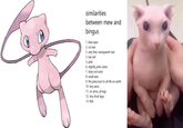 similarities between mew and bingus 1. blue eyes 2. no hair 3. very fine, transparent hair 3. has tail 5. pink 6. slightly pink sclera 7. does not exist 8. small ears 9. the precursor to all life on earth 10. tiny arms 11. no arms, all legs 12. tiny front legs 13. feet