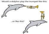 Would a dolphin play the trumpet like this: .or like this?